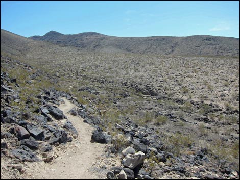 BLM 402 Connector Trail