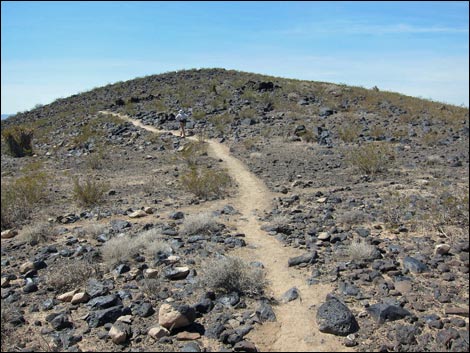 Park Peak Trail