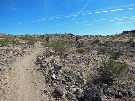 McCullough Hills Trail