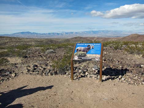 McCullough Hills Trail