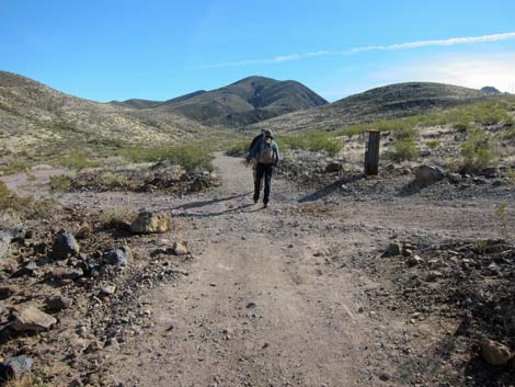 McCullough Hills Trail