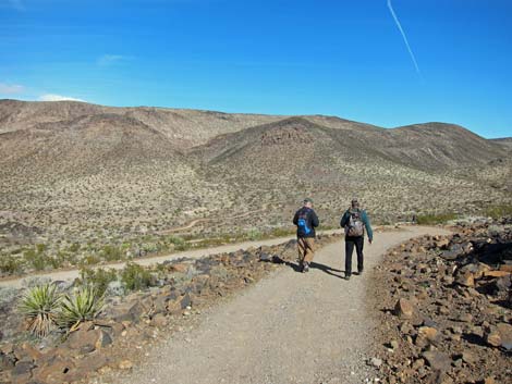 McCullough Hills Trail