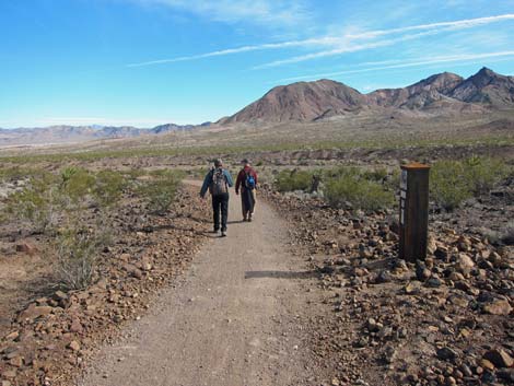 McCullough Hills Trail