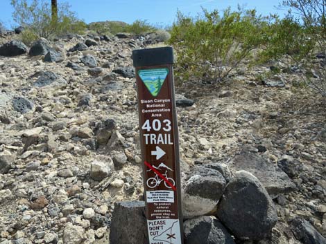 Park Peak Trail