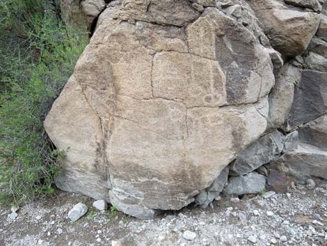 Sloan Canyon Petroglyphs