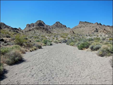 Sloan Canyon Loop