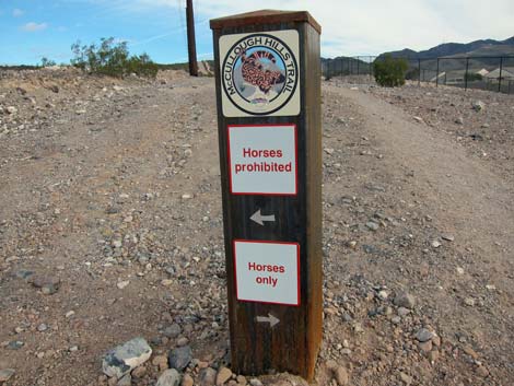 McCullough Hills Trail