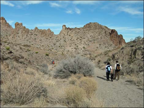 Sloan Canyon National Conservation Area