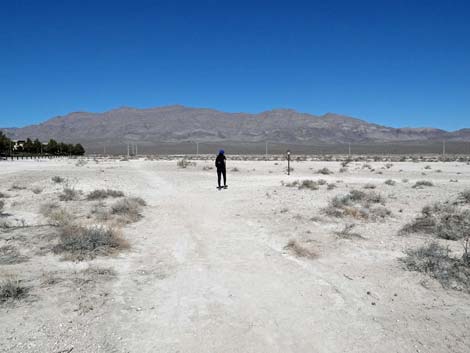 Aliente Loop Trail