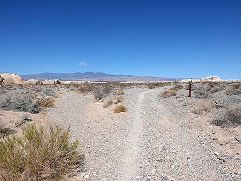 Durango Temporary Loop Trail -- Long