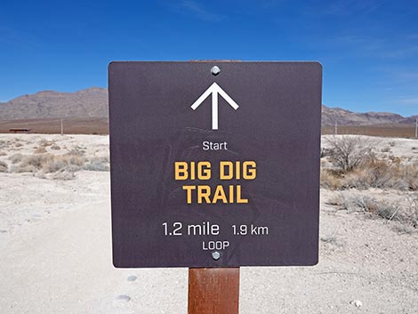 Big Dig Trail