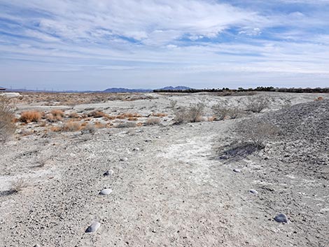 Big Dig Trail