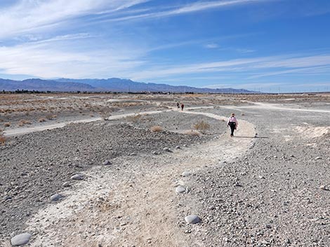 Big Dig Trail