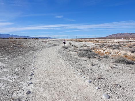 Big Dig Trail