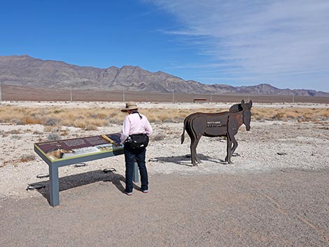 Megafauna Trail