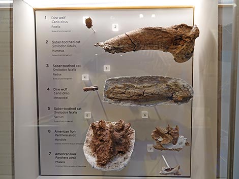 Ice Age Fossils State Park Visitor Center