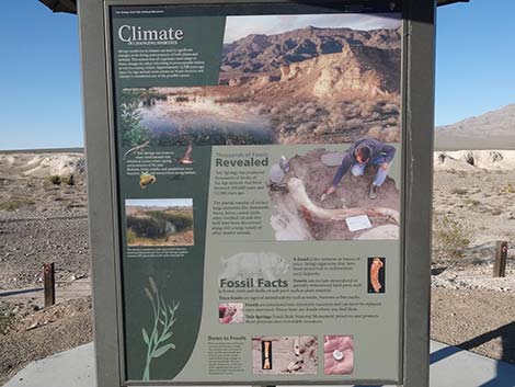 Durango Drive Trailhead