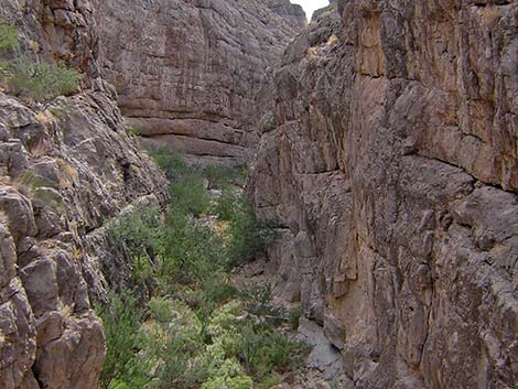 Arrow Canyon Upper