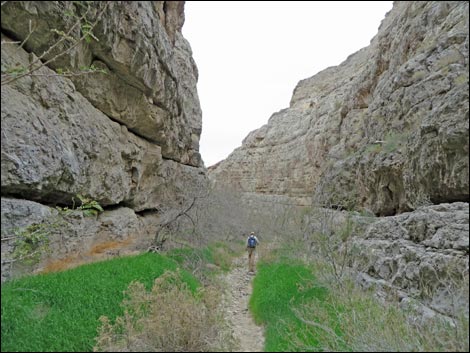 Arrow Canyon