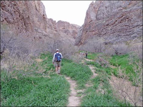 Arrow Canyon