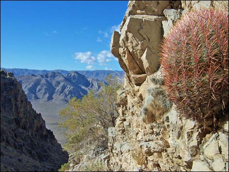 Arrow Canyon Wilderness Area