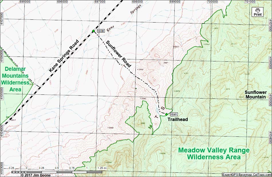 Sunflower Road Map