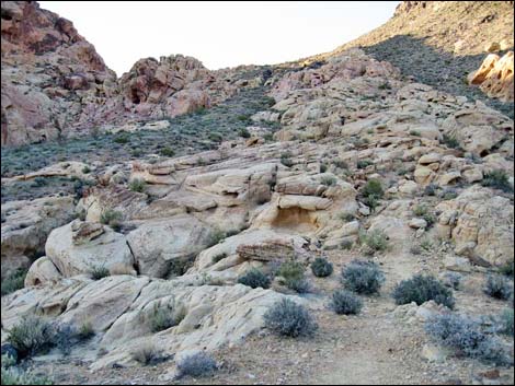 Colorock Canyon Loop