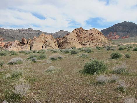 Hidden Valley Arch