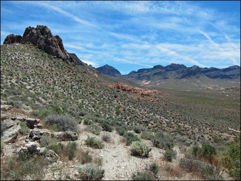 Hidden Valley East Trail