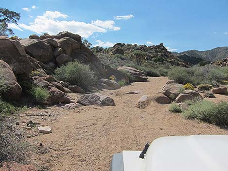 Pine Spring Road, South Fork