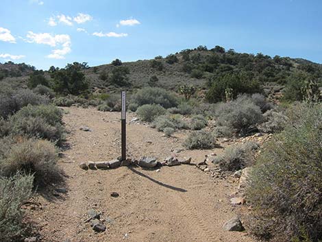 Pine Spring Road, South Fork