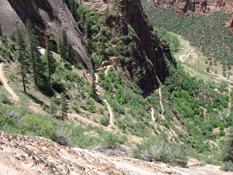 Observation Point Trail