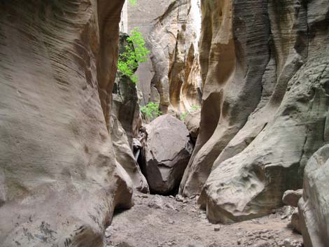 Orderville Canyon