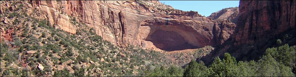 Zion Overlook Panorama