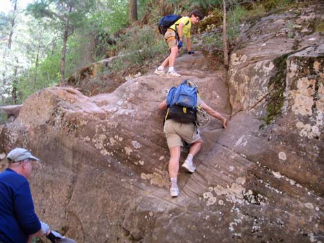 Zion Subway