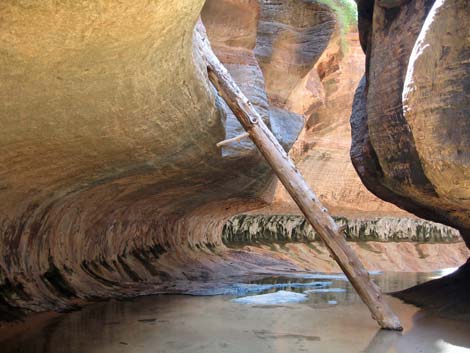 Zion Subway