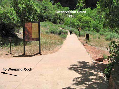 Weeping Rock Trail