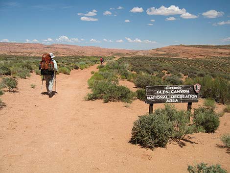 Coyote Gulch