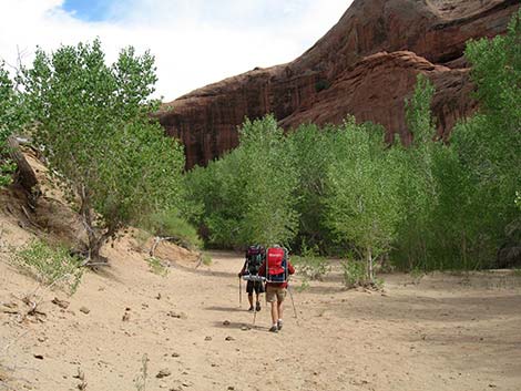 Coyote Gulch