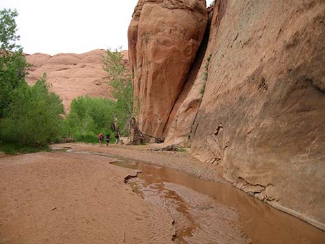 Coyote Gulch