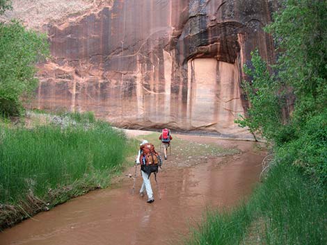 Coyote Gulch