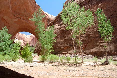 coyote gulch