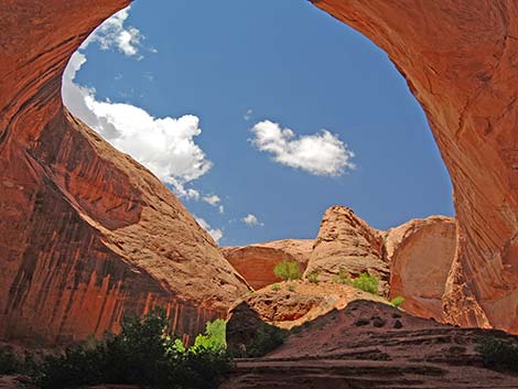 Coyote Gulch