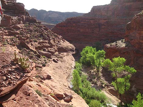 coyote gulch