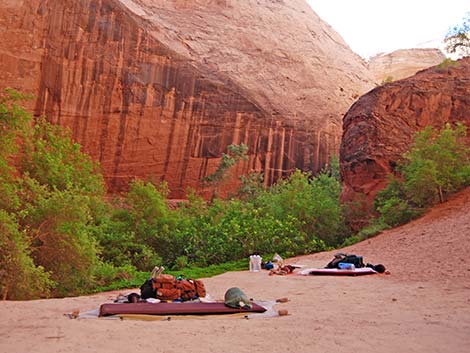 Coyote Gulch