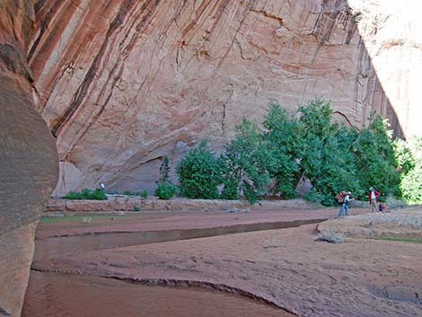 Coyote Gulch