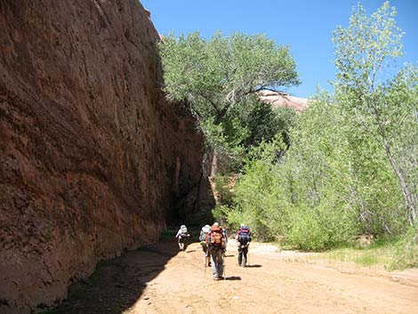 Coyote Gulch