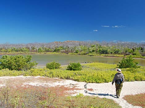 Ecuador