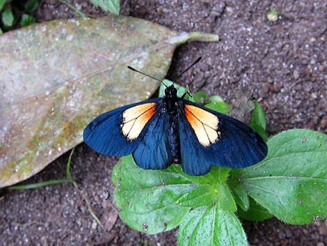 Ecuador