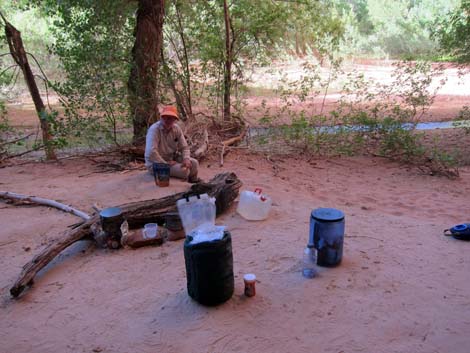 Coyote Gulch